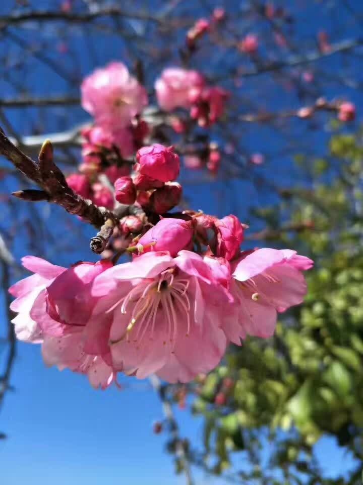 ͼƬ